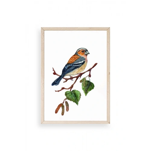 Kuş Ahşap Çerçeveli Tablo 50 x 70