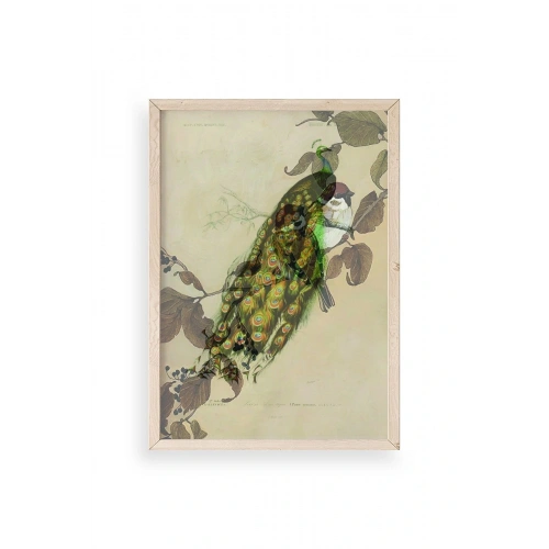 Kuş Ahşap Çerçeveli Tablo 50 x 70