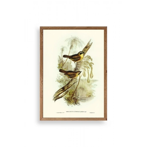 Kuşlar Ahşap Çerçeveli Tablo 17 x 23