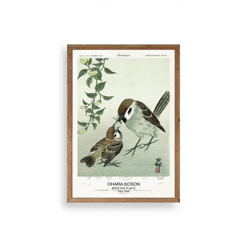 Kuşlar Ahşap Çerçeveli Tablo 23 x 30