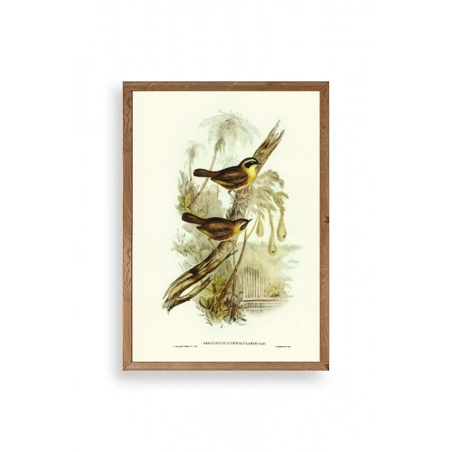 Kuşlar Ahşap Çerçeveli Tablo 30 x 42