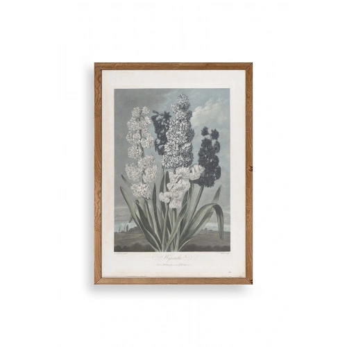 Legendarte Canvas Ahşap Çerçeveli Tablo 30 x 42