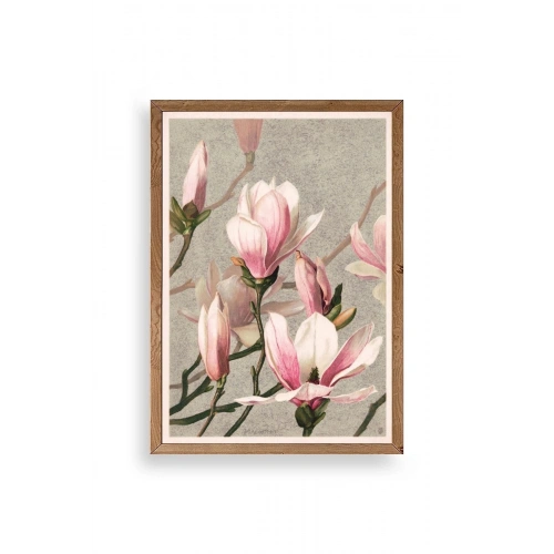 Magnolia Flowers Ahşap Çerçeveli Tablo 30 x 42