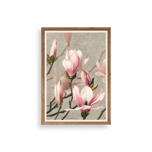 Magnolia Flowers Ahşap Çerçeveli Tablo 30 x 42