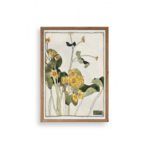 Marsh Marigold Ahşap Çerçeveli Tablo 50 x 70