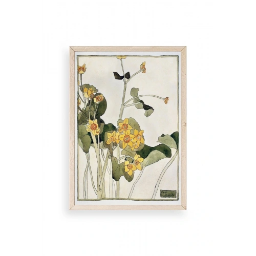 Marsh Marigold Ahşap Çerçeveli Tablo 50 x 70