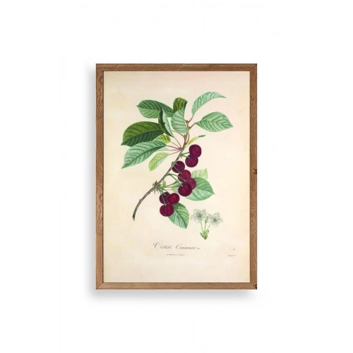 Meyveler Ahşap Çerçeveli Tablo 30 x 42