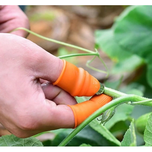 Pratik Baş Parmak Sebze Kesme Ayıklayıcı Erkek L Set (5365)