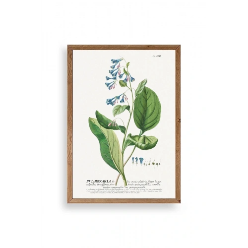 Pvlmonarla Ahşap Çerçeveli Tablo 30 x 42