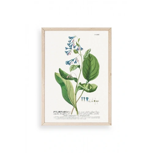 Pvlmonarla Ahşap Çerçeveli Tablo 50 x 70