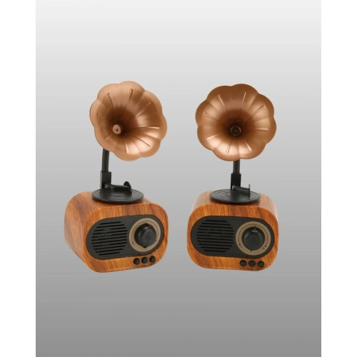 Retro Tasarımlı Şarjlı Mini Radyo Bluetooth Hoparlör