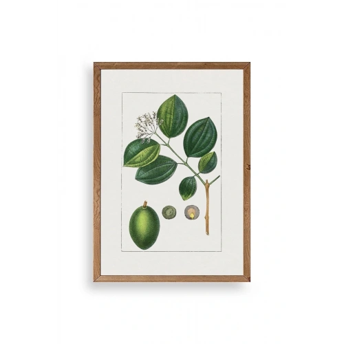 Rosalind Wheeler Ahşap Çerçeveli Tablo 17 x 23