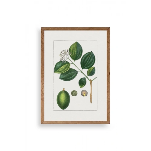 Rosalind Wheeler Ahşap Çerçeveli Tablo 23 x 30