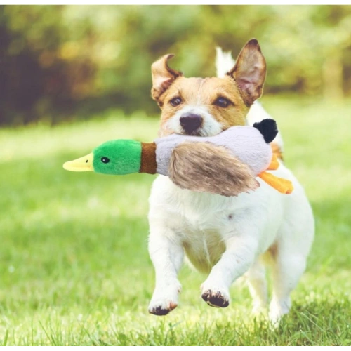 Sesli Ördek Şekilli Peluş Köpek Oyuncağı