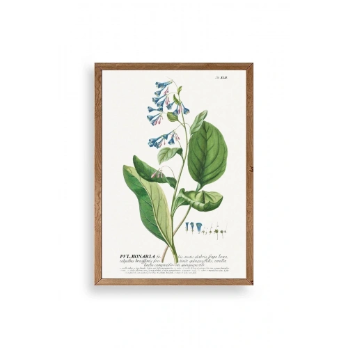 Stupell Ahşap Çerçeveli Tablo 23 x 30