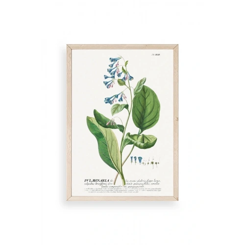 Stupell Ahşap Çerçeveli Tablo 50 x 70