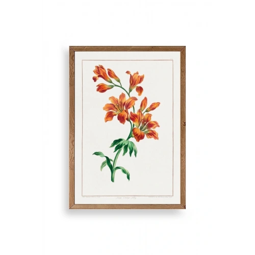 Turuncu Zambak Ahşap Çerçeveli Tablo 17 x 23