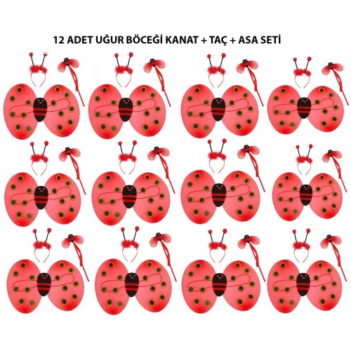 Uğur Böceği Kostüm Seti - Kanat, Taç, Asa 12 Adet