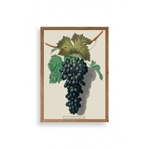 Üzüm Ahşap Çerçeveli Tablo 50 x 70