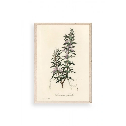 Yaprak Ahşap Çerçeveli Tablo 17 x 23