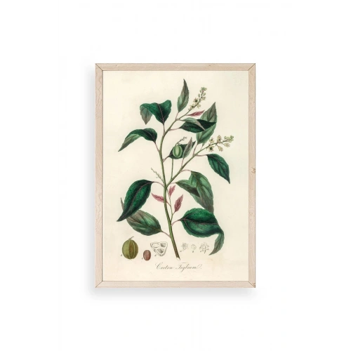 Yaprak Ahşap Çerçeveli Tablo 17 x 23