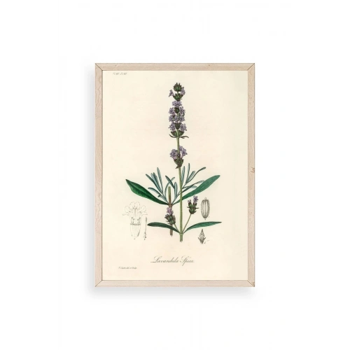 Yaprak Ahşap Çerçeveli Tablo 17 x 23