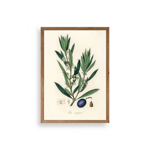 Yaprak Ahşap Çerçeveli Tablo 17 x 23