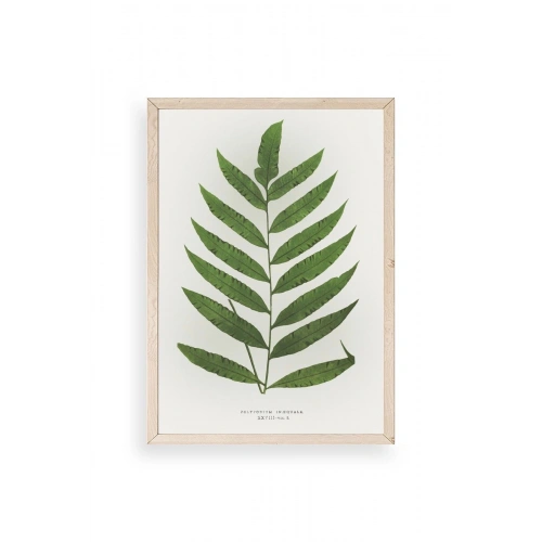 Yaprak Ahşap Çerçeveli Tablo 17 x 23