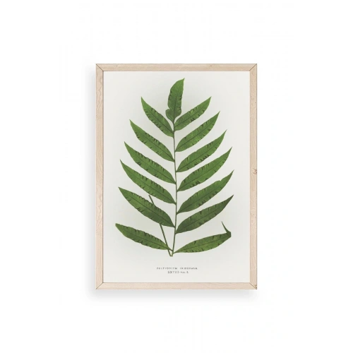 Yaprak Ahşap Çerçeveli Tablo 17 x 23