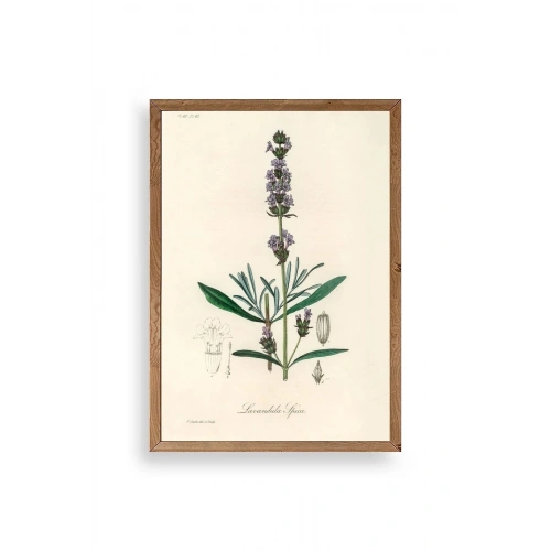 Yaprak Ahşap Çerçeveli Tablo 23 x 30