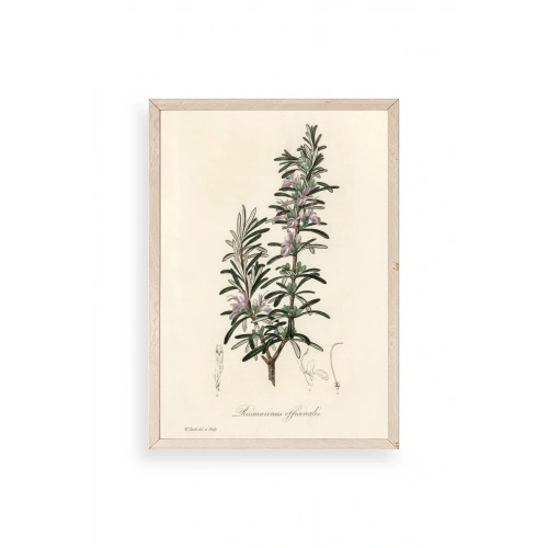 Yaprak Ahşap Çerçeveli Tablo 23 x 30