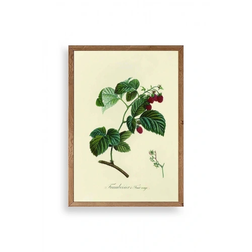 Yaprak Ahşap Çerçeveli Tablo 23 x 30