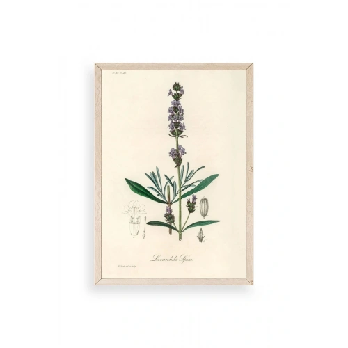 Yaprak Ahşap Çerçeveli Tablo 23 x 30