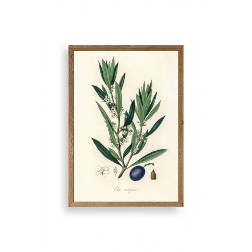 Yaprak Ahşap Çerçeveli Tablo 30 x 42