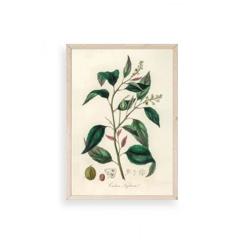 Yaprak Ahşap Çerçeveli Tablo 30 x 42