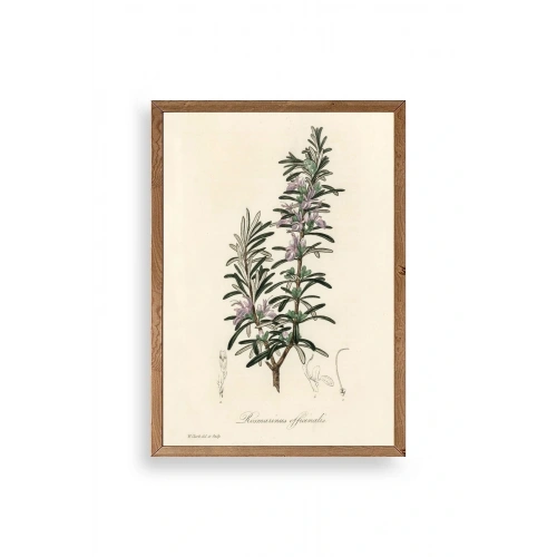 Yaprak Ahşap Çerçeveli Tablo 50 x 70