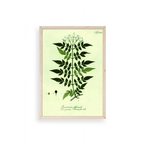 Yapraklar Ahşap Çerçeveli Tablo 17 x 23