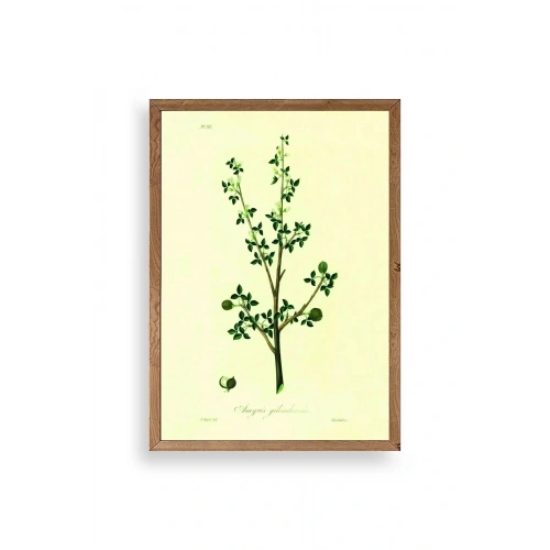 Yapraklar Ahşap Çerçeveli Tablo 17 x 23