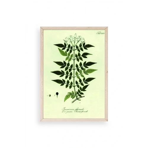 Yapraklar Ahşap Çerçeveli Tablo 17 x 23