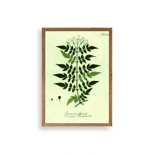 Yapraklar Ahşap Çerçeveli Tablo 23 x 30