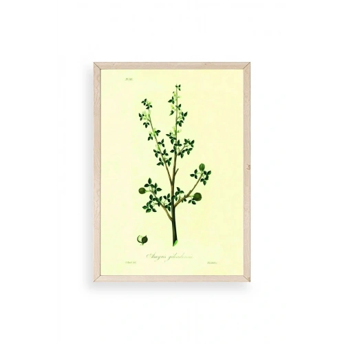 Yapraklar Ahşap Çerçeveli Tablo 23 x 30