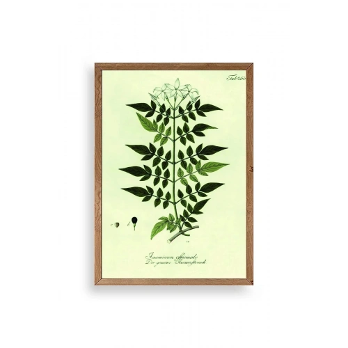 Yapraklar Ahşap Çerçeveli Tablo 30 x 42