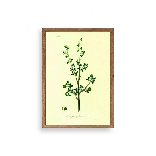 Yapraklar Ahşap Çerçeveli Tablo 30 x 42