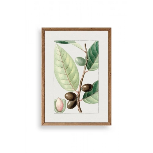 Zeytin Dalı Ahşap Çerçeveli Tablo 23 x 30