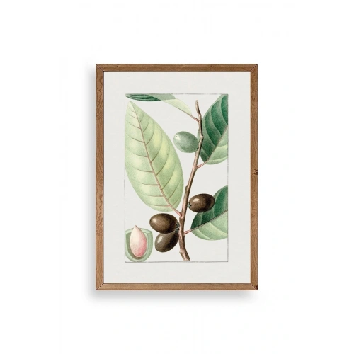 Zeytin Dalı Ahşap Çerçeveli Tablo 30 x 42