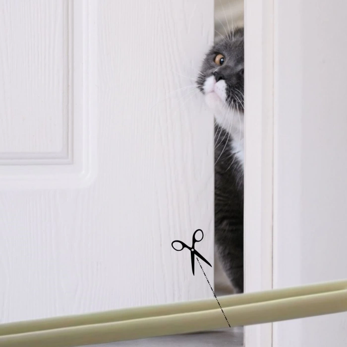 4 Adet Kapı Toz Rüzgar Önleyici Isı Yalıtımı Sağlayan Sızdırmaz Strafor (5365)