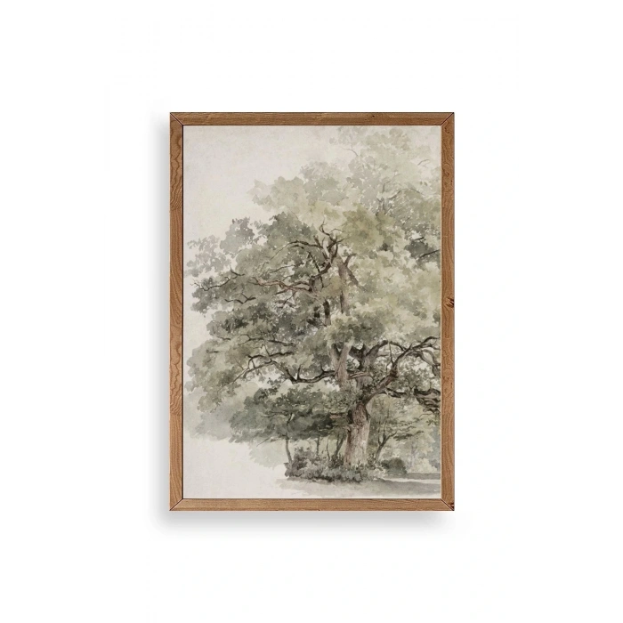 Ağaç Ahşap Çerçeveli Tablo 23 x 30