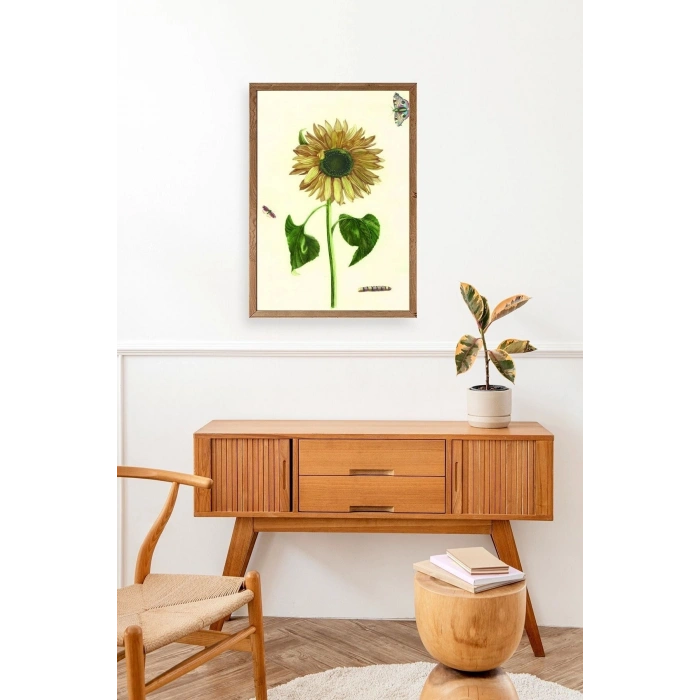 Ayçiçeği Ahşap Çerçeveli Tablo 17 x 23