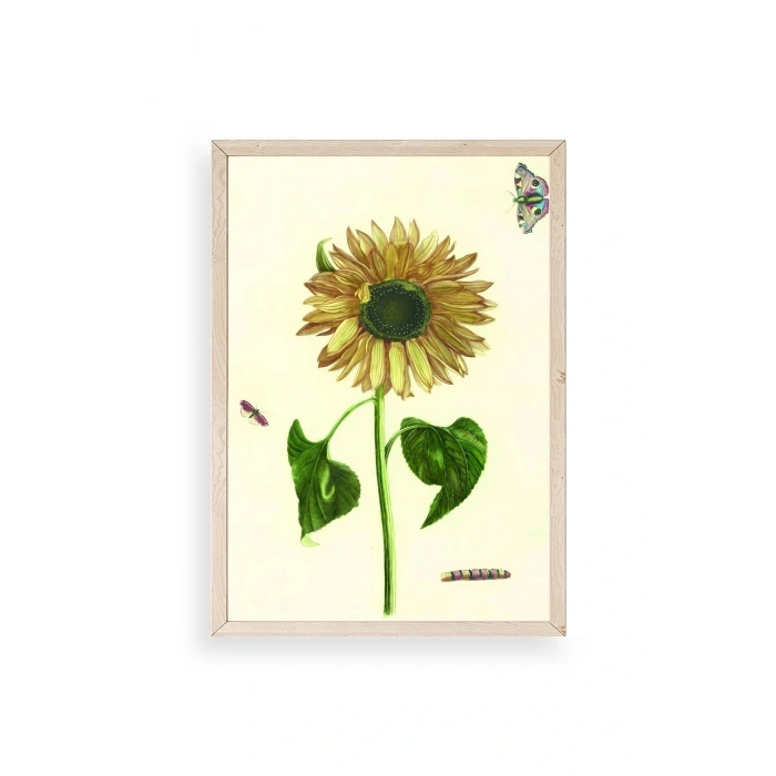 Ayçiçeği Ahşap Çerçeveli Tablo 23 x 30