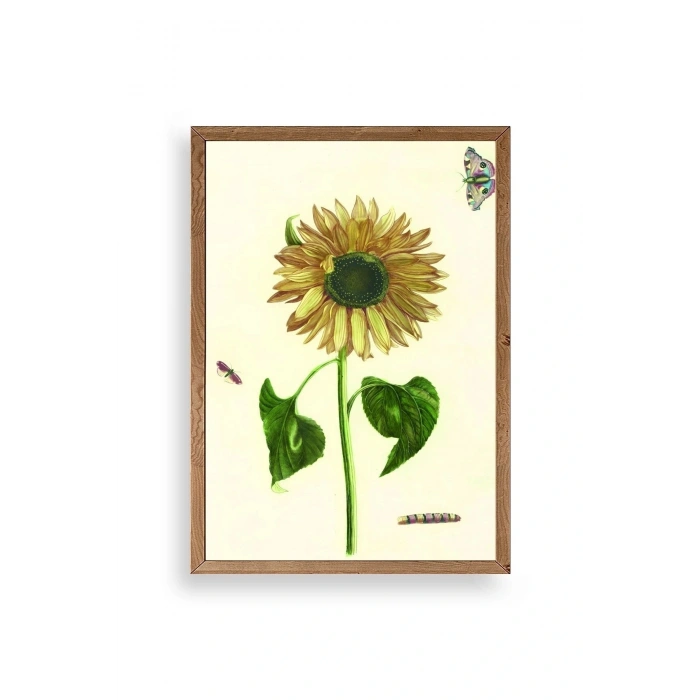 Ayçiçeği Ahşap Çerçeveli Tablo 50 x 70